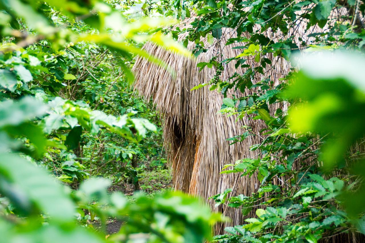 Queen Elizabeth Pvt Lodge Kichwamba Esterno foto
